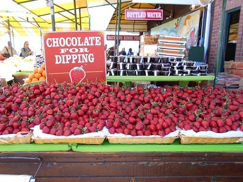 DSCN0116.JPG