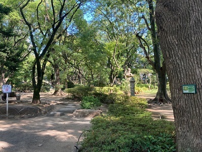 IMG_0043.jpg