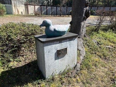 IMG_0848.jpg