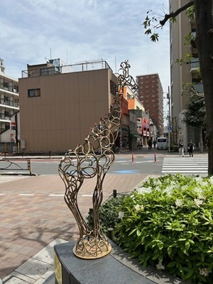 IMG_1430.jpg