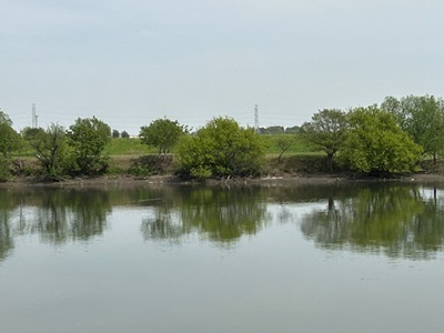 IMG_1467.jpg