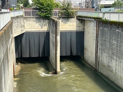 IMG_3213.jpg