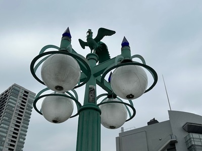 IMG_4295.jpg