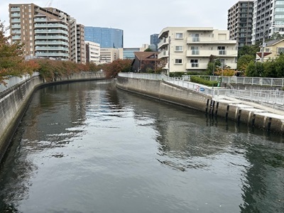 IMG_4296.jpg