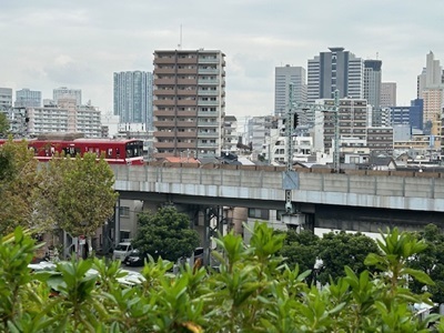 IMG_4340.jpg