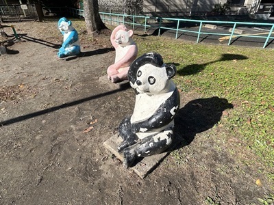 IMG_4432.jpg