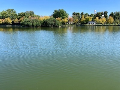 IMG_6014.jpg