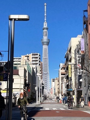 IMG_7267.jpg
