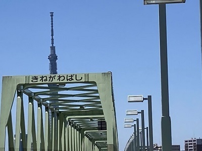 IMG_8847.jpg