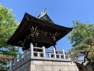 IMG_8878.jpg
