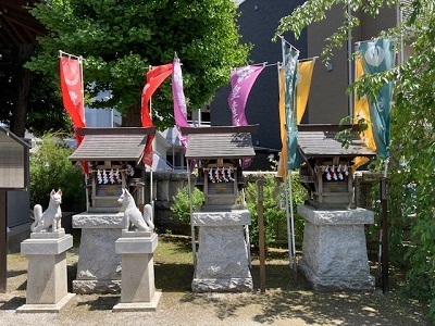 IMG_8896.jpg