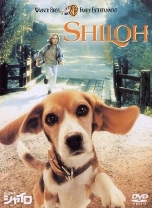 beaglekenshiloh.jpg