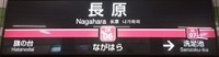 ikegami06-280b2.jpg