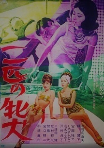 nihikinomesuinu.jpg
