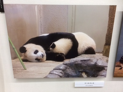 xiangxiang5.JPG